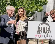  ?? Robert Gavin / Times Union ?? Steven M. Wise, founder of The Nonhuman Rights Project, stands beside Monica L. Miller, an attorney who argued before the Court of Appeals on Wednesday asking for a writ of habeas corpus to release Happy the elephant from the Bronx Zoo.