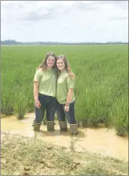  ?? SUBMITTED PHOTO ?? Twins Isabella and Abigail Norsworthy, members of Farmington FFA, stand in a rice farm in the Delta with the Rice Reps Program.