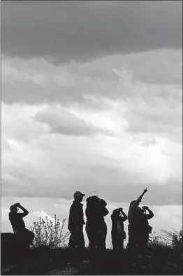  ?? [ANDY MORRISON/THE BLADE] ?? Birders crane their necks while searching the skies at Metzger Marsh Wildlife Area.