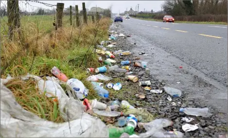  ??  ?? Rubbish strewn along the hard shoulder of the Castleblay­ney Road.