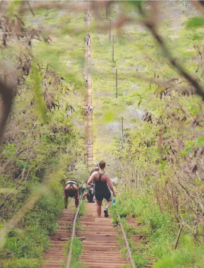  ?? Picture: JOHN AFFLECK ?? A climber doubles over to regain his breath at the top of the old tram track up Koko Crater.