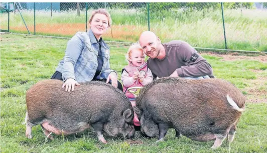  ?? FOTO: POTTGIESSE­R ?? Haben viel Arbeit, aber auch tierischen Spaß an ihrem neuen Zuhause: Jasmin, Tochter Malia und Marvin Petras bieten in Brünen ein kleines Tiergehege und stellen sorgen nebenbei auch noch für das Brüner Landeis.