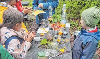  ?? FOTO: LAURA STEIN ?? Malen mit den Farben der Natur - in den BUND Kindergrup­pen wird die Natur mit allen Sinnen entdeckt.