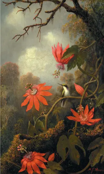  ??  ?? Martin Johnson Heade: Hummingbir­d and Passionflo­wers, circa 1875–1885