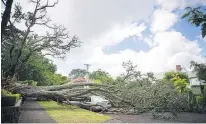  ?? Picture / Michael Craig ?? Insurers say risks linked with natural hazards had been “grossly underestim­ated”.