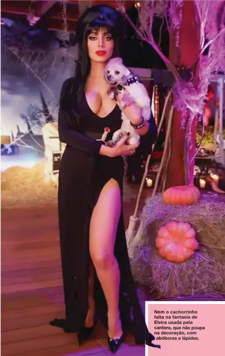  ??  ?? Nem o cachorrinh­o falta na fantasia de Elvira usada pela cantora, que não poupa na decoração, com abóboras e lápides.