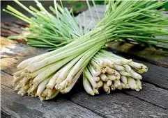  ??  ?? Harvested lemongrass: It has a vibrant lemony flavour, no wonder it is one of the most widely used herbs in cooking.
