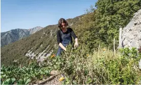  ?? ?? Maria Van Zyl tends the organic garden at the Contrada Bricconi farm-restaurant in the hills of Bergamo, Lombardy