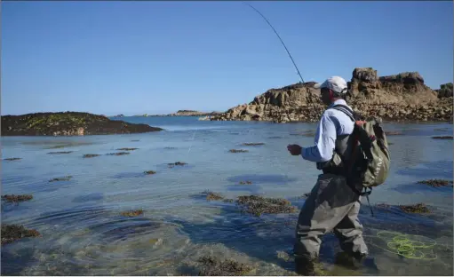  ??  ?? Il ne faut pas hésiter à poser sa soie sur les algues pour aller pêcher des trouées qui se trouvent à une dizaine de mètres de nous. Cela permet de ne pas faire fuir les bars qui peuvent être en embuscade dans les fucus.