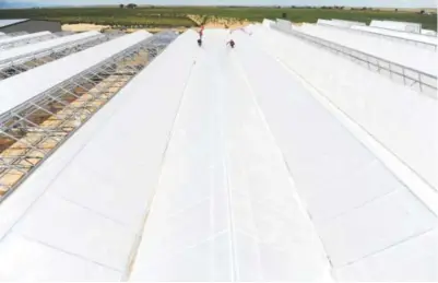  ?? Callaghan O’Hare, The Denver Post ?? Constructi­on workers install insulation onto the roof of a greenhouse in Avondale. The greenhouse­s’ poly covers let in UV-B sunlight to promote plant growth. Other technology for the facilities, such as floor heating and a self-contained water...