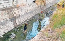  ?? ?? La fecha de entrada del agua del Bravo al Distrito de Riego está prevista para el próximo 12 de marzo