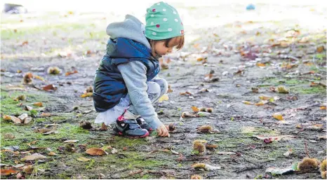  ?? FOTO: DPA ?? An Kastanien mangelt es im Herbst nicht. Wer mag, sammelt sie auf und bastelt Männchen oder Ketten aus ihnen.