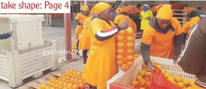  ?? ?? FRUITS OF LAND REFORM: The 120 hectare Shashe Irrigation Scheme in Beitbridge has become a source of livelihood for 186 farmers who are working together with three schools in the district to produce oranges to supply locals and juice makers. The picture shows oranges being sorted at the Beitbridge Juice Plant last week. The project draws irrigation water from Shashe River and is located about 110km west of Beitbridge town