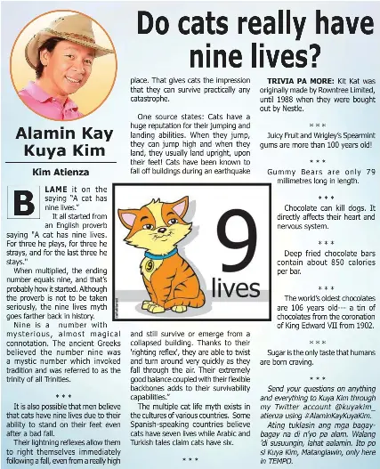 Is 9 lives bad for cats deals