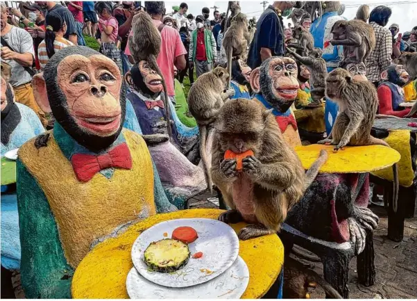  ?? Foto: Chalida Ekvitthaya­vechnukul/ap/dpa ?? Die Affen von Lop Buri lassen sich gerne füttern, werden aber auch zunehmend aggressiv.