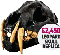  ?? ?? £2,450 LEOPARD SKULL REPLICA