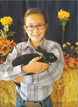  ??  ?? Alexia Martinez and her 4-H bunny Mim-Mim, a Min Rex breed of rabbit, at the 2017 Taos County Fair. Mim-Mim has been house-trained and now lives in Alexia’s room. They are best friends.