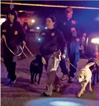  ?? AP ?? Police dogs and their handlers deploy at the scene of the explosion in southwest Austin, Texas, on sunday. —