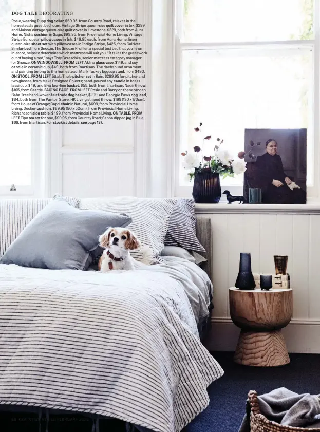  ??  ?? Rosie, wearing Rupp dog collar, $69.95, from Country Road, relaxes in the homestead’s guest bedroom. Vintage Stripe queen-size quilt cover in Ink, $299, and Maison Vintage queen-size quilt cover in Limestone, $229, both from Aura Home; Nisha cushion in Sage, $99.95, from Provincial Home Living; Vintage Stripe European pillowcase­s in Ink, $49.95 each, from Aura Home; linen queen-size sheet set with pillowcase­s in Indigo Stripe, $425, from Cultiver. Similar bed from Snooze. The Snooze Profiler, a special test bed that you lie on in-store, helps to determine which mattress will suit you. “It takes the guesswork out of buying a bed,” says Troy Grzeschka, senior mattress category manager for Snooze. ON WINDOWSILL, FROM LEFT Aklina glass vase, $149, and soy candle in ceramic cup, $49, both from Inartisan. The dachshund ornament and painting belong to the homestead. Mark Tuckey Eggcup stool, from $490. ON STOOL, FROM LEFT Iittala Thule pitcher set in Rain, $299.95 for pitcher and two glasses, from Make Designed Objects; hand-poured soy candle in brass lassi cup, $49, and Elva low-line basket, $55, both from Inartisan; Nadir throw, $165, from Saardé. FACING PAGE, FROM LEFT Rosie and Barry on the verandah. Baba Tree hand-woven fair trade dog basket, $299, and Georgie Paws dog lead, $84, both from The Panton Store; HK Living striped throw, $199 (130 x 170cm), from House of Orange; Capri chair in Natural, $699, from Provincial Home Living; Decker cushion, $89.95 (50 x 50cm), from Provincial Home Living; Richardson side table, $499, from Provincial Home Living. ON TABLE, FROM LEFT Tipo tea set for one, $99.95, from Country Road; Sanna dipped jug in Blue, $69, from Inartisan. For stockist details, see page 137.