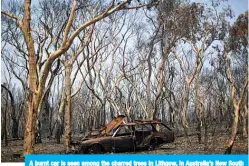  ?? —AFP ?? A burnt car is seen among the charred trees in Lithgow, in Australia’s New South Wales.