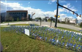  ?? SUBMITTED PHOTO ?? “Every one of those pinwheels represents a real child,” Leslie Slingsby, Executive Director of Mission Kids stated.