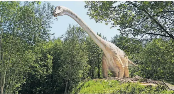  ?? FOTOS (6): CHRISTIAN KREMER (4), DINOPARK (2) ?? Satte 45 Meter lang ist der Seismosaur­us, den man im Saurierpar­k an der Teufelssch­lucht entdecken kann.