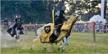  ?? Archivfoto: R. Langhans ?? Bei den „Armati Equites“kann nur Ritter werden, wer reiten kann und zudem ein Pferd besitzt. Ob Mann oder Frau unter der Rüs