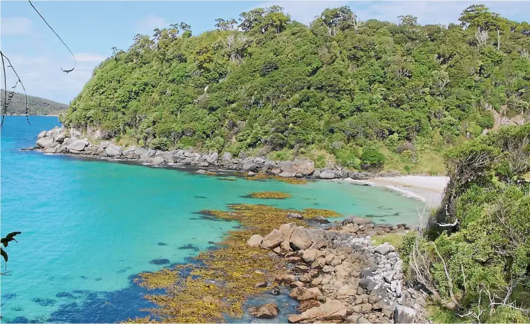  ?? PAMELA WADE/ STUFF ?? The chilly sea around RakiuraSte­wart Island can look deceptivel­y tropical.