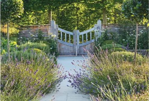  ??  ?? BELOW The raised oak beds in the kitchen garden are packed with home-grown vegetables, including kale, onions, lettuce and squash. RIGHT A formal Italianate terrace with its decorative balustrade overlooks the topiary garden. Here, the statuesque...