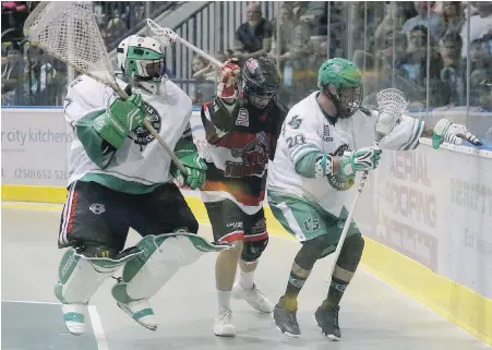  ?? ADRIAN LAM, TIMES COLONIST ?? Cody Hagedorn, left, and Ben McCullough, right, are ready for a tough series with Gord Philips and the Timbermen.