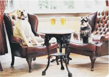  ??  ?? Dogs enjoy a trip to the pub just like the rest of us