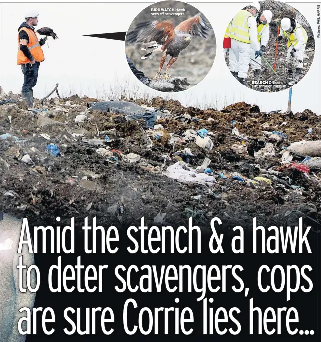  ??  ?? BIRD WATCH Hawk sees off scavengers SEARCH Officers sift through rubbish