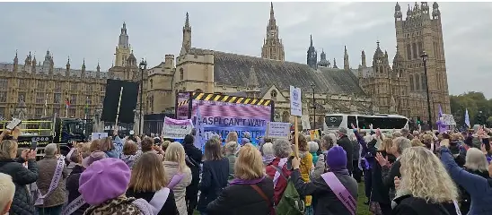 Cardigan WASPI joins London Budget Day pensions rally - PressReader
