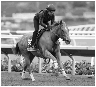  ?? BARBARA D. LIVINGSTON ?? Skye Diamonds was one of the top female sprinters in 2017, with three stakes and a fourth in the Breeders’ Cup Filly and Mare Sprint.