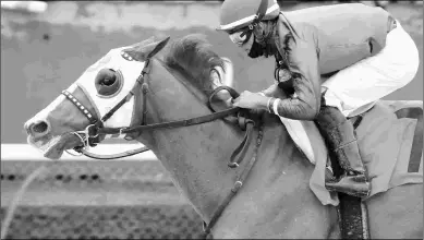  ?? COADY PHOTOGRAPH­Y ?? Mystic Guide won his 4-year-old debut in the Razorback by six lengths and earned a 108 Beyer.