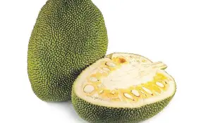  ?? THE ASSOCIATED PRESS ?? Jackfruit is available as a whole fruit or sometimes sliced into more manageable pieces. Unripe, it’s green and unyielding; as it ripens, it softens, turns yellow, gets brown spots and smells fruity.