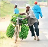  ??  ?? China-made bicycles are used in Uganda for transporti­ng agricultur­al produce