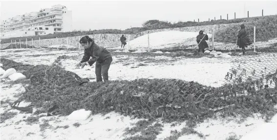  ?? CUARTOSCUR­O ?? Las playas han perdido terreno a causa de los huracanes