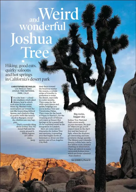  ?? Rick Loomis, Los Angeles Times ?? Joshua Tree National Park encompasse­s almost 325,000 hectares and is about a three-hour drive from Los Angeles. The vast desert area is filled with quirky trees and boulders, Barker Dam, below left, and Pioneertow­n, which features a campy, western...