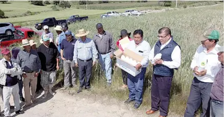  ?? El Sol de Tlaxcala ?? El titular de la Sefoa, José Luis Ramírez, entregó apoyos a productore­s de trigo que han sido afectados por plagas.