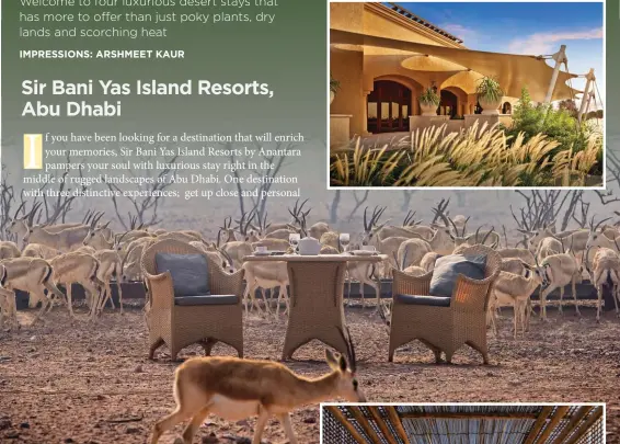  ??  ?? with the free roaming wild life at Al Sahel Villa Resort, explore the stunning settings at the Desert Islands Resort and indulge in exotic Arabian island lifestyle at Al Yamm Villa Resort. Designed to resemble a coastal fortress, 60 luxury villas...