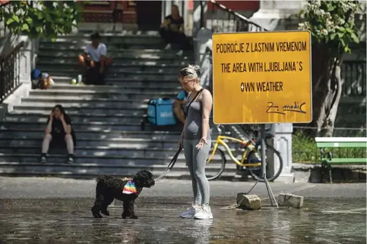  ?? Foto Blaž Samec ?? V pasji vročini tudi štirinožni prijatelji potrebujej­o ohladitev.