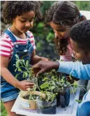  ?? ?? Children enjoy fast-growing herbs, for their scent as well as taste