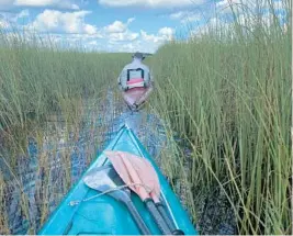  ?? COURTESY PHOTOS ?? A group of South Florida explorers recently retraced the 130-mile journey of Hugh Willoughby, who canoed across the Everglades 125 years ago, mapping the area for the first time, and taking water samples that are valuable to scientists today.