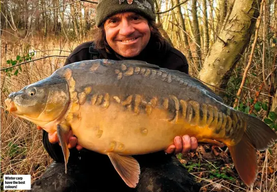  ??  ?? Winter carp have the best colours!