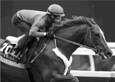  ?? BARBARA D. LIVINGSTON ?? Golden Dragon, working five furlongs on Monday, will run in the Breeders’ Cup Juvenile.