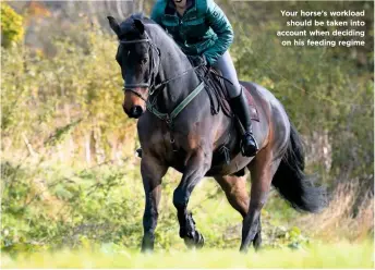  ??  ?? Your horse’s workload should be taken into account when deciding on his feeding regime