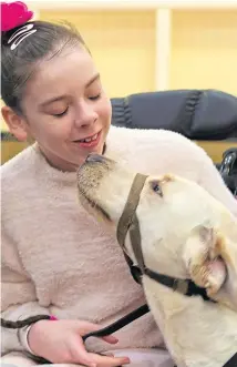  ?? Pictures: Kim Cessford. ?? Katie plays with her new pup. Below: Rory, Craig, Katie and Jane Robertson, ready to take the newest member of the family home to Carnoustie.