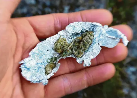  ?? Symbolfoto: Alexander Kaya ?? Cannabis in seinen verschiede­nen Zubereitun­gsformen dominiert im Landkreis Günzburg die Betäubungs­mittelkrim­inalität. Rund 60 Prozent aller Rauschgift­delikte gehen im Kreisgebie­t auf das Konto der berauschen­den Pflanze.