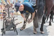  ??  ?? New York City Police Department farrier Marcus Martinez Jr. shoes department mounted unit horse McQuade in Times Square.